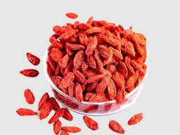 Groothandel in gedroogde Goji-bessen