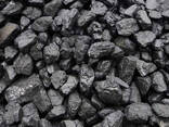 Hard Coal - photo 1