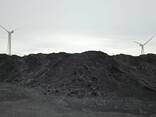 Hard coal (bituminous), FOB Pori, Finland: 29 EUR/MT - photo 1