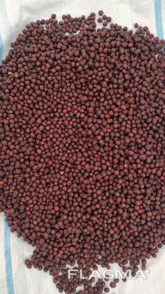 Weißdornbeeren und Kräuter