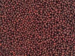 Weißdornbeeren und Kräuter