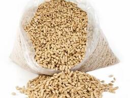 High quality En Plus A1 6mm / pellets