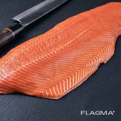 New Batch Fresh Atlantic Salmon Fish From Norway / Atlantic Salmon Fish For Sale Worldwide