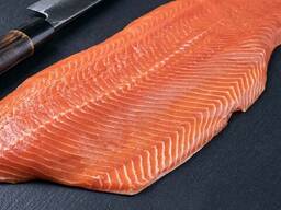 New Batch Fresh Atlantic Salmon Fish From Norway / Atlantic Salmon Fish For Sale Worldwide