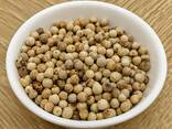 Black Pepper Dried Whole White Pepper and Other Spices and Herbs - фото 1