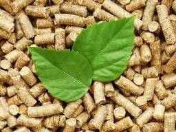 Holzbrennstoffpellets DinA1, Pellets. Древесные топливные гранулы DinA1