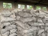 Holzkohle / Charcoal / Древесный уголь - фото 1