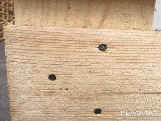 Holzpaletten Поддоны 800*1200