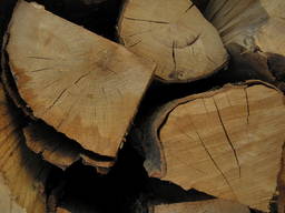 Hornbeam Firewood / Hainbuche