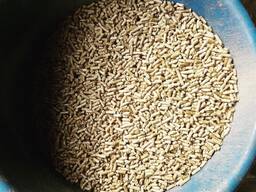 Hot Sales Quality Wood Pellets for Sale/Fir, Pine, Beech Wood