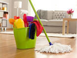 Ich biete Reinigungsdienste für Häuser, Wohnungen, Büros an. - фото 1