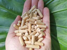 Ich nehme Angebote mit 6-mm-Pellet an.