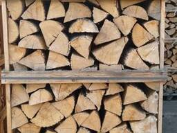 Ich verkaufe Premium Qualität Brennholz