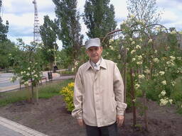 Ищем партнеров бизнес план готов