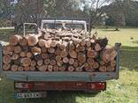 Kammergetrocknetes Hartholz-Brennholz - photo 2