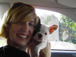 Французского бульдога