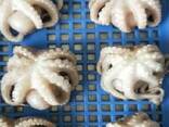 Мороженные рыба и морепродукты в Германию от производителя из КНР - фото 6