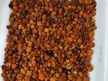 Natural Cattle/Ox Gallstones - фото 3