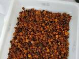 Natural Cattle/Ox Gallstones - фото 4