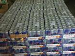 Austria original Red Bull Energy Drink 250ml - photo 2