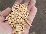 Пеллеты древесные А1 Holzpellets in Big Bags à 1000 kg - фото 1