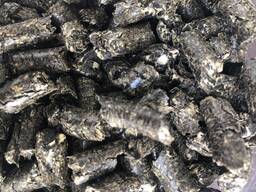 Пеллеты из лузги подсолнечника (Pellet paliwowy z łuski słonecznika)