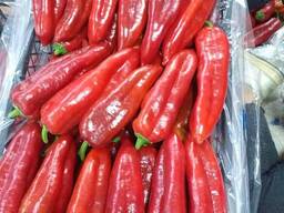 Pepper KAPYA