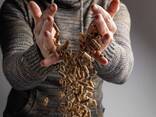 Pinewood Pellets - фото 3