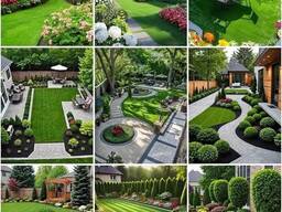 Посадка вічнозелених кущив та квитив!!