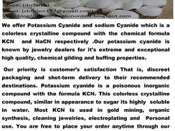 Premium Cyanide salts KCN available