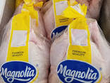 Premium Quality 900g Whole Fresh Chicken Suppliers/ Where To Buy Best Brand Fresh Frozen C