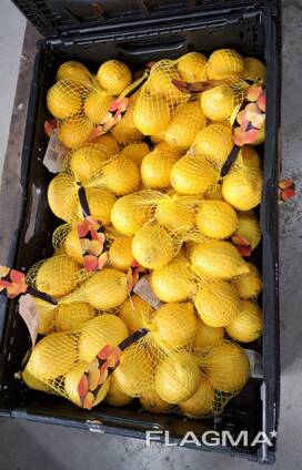 Wir verkaufen frisches Obst und Gemüse direkt aus Spanien