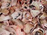 Wir verkaufen gefrorene Schweinefleisch-Nebenprodukte im Großhandel