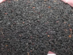 Продаем в больших Объёмах сушеные плоды Бузины