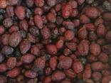 Продам ягоды Бузины, Шиповника, Рябины Боярышника - фото 2
