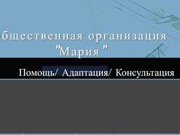 Продаётся действующая немецкая фирма