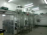 Automatic conveyor systems - фото 2