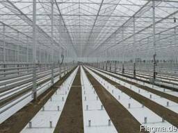Промышленные б/у теплицы в Голландии из первых рук