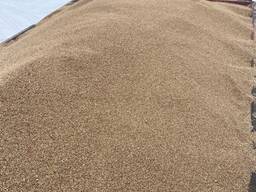 Пшеница семена подсолнечника семечки кукуруза мука масло подсолнечника