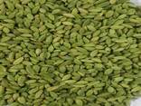 Pure Standard Quality 100% Green Cardamom Wholesale - фото 2
