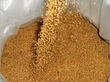 Quality Soybean Meal - фото 1
