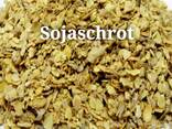 Rapsextraktionskuchen 332 Eur/t - photo 1