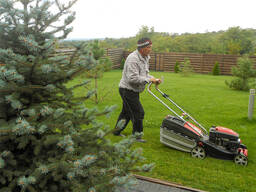 Gartenpflege | Rasen mähen | Service regelmäßig oder einmalig