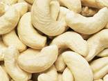 Roasted Cashew Nuts For Sale, Salted And Unsalted Cashew Nuts Food Grade