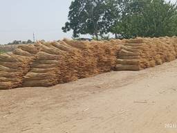 Sorghum for the production of brooms