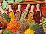 Cпеции, Масла и Олеорезины - фото 1
