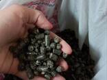 Sunflower husk pellets - photo 2