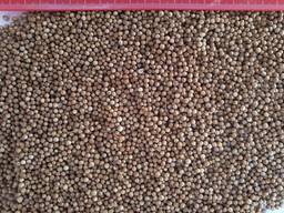 The company sells 2019 coriander