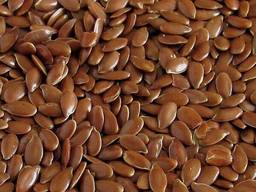 ТОО Safe Grain лен