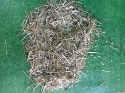 Umweltfreundliche Leinen-Einstreu für Pferde – beste Qualität zum fairen Preis!